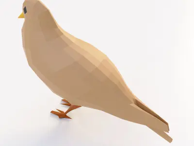 Pigeon bird 3d model Free low-poly 3D model
