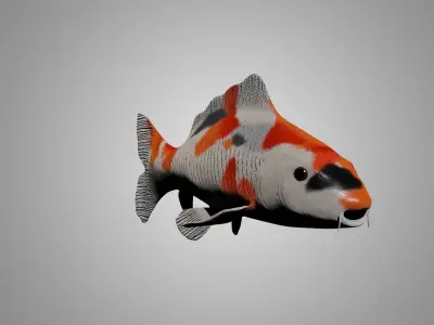 Koi Fish 3D model buy