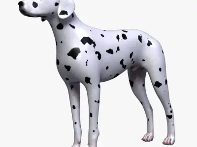  Dog Anatomy (Textured) 