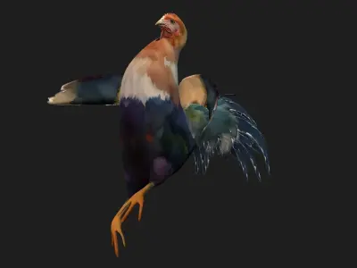 Chicken A3 3D model