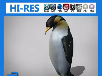 Penguin 3D model buy