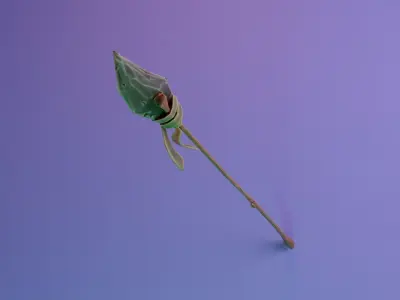 Stylized Lance Low-poly 3D model