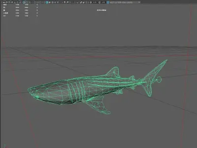 Shark Low-poly 3D model 12