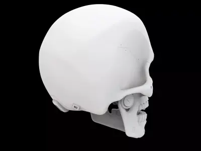 Minimalist Mechanical Skull 3D Print Model 3D print model