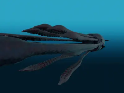 Squid with long tentacles 3D model