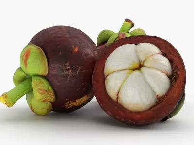 Mangosteen Fruit 3D model