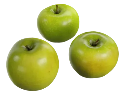  Granny Smith Apple Model, Green  purchase