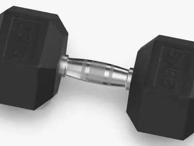 Rubber Dumbbell 25kg 3D model