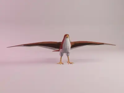 Mildred the Sharp-shinned Hawk Low-poly 3D model
