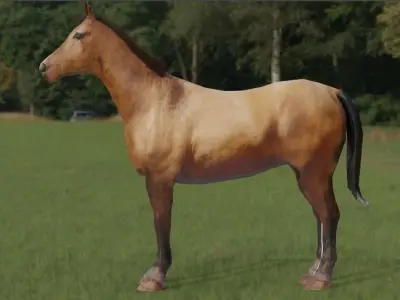 Horse 3d Model in field Free low-poly 3D model