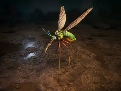 Mosquitos pack Low-poly 3D model