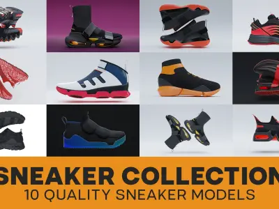  Sneaker Collection 
