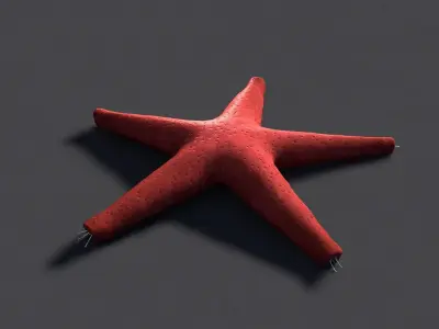 Red Star Fish Low-poly 3D model