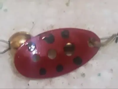 mold sembe matris bled spinner  fishinng  and cuting lazer 3D model