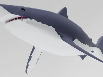 The white shark Low-poly 3D model