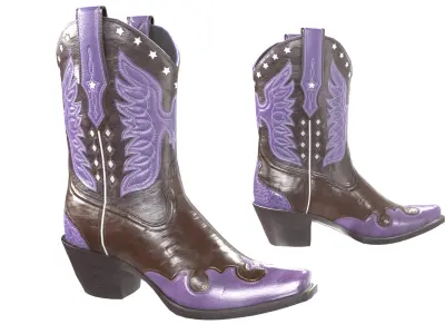 Eagle Star Cowboy Violet Boots 3D model