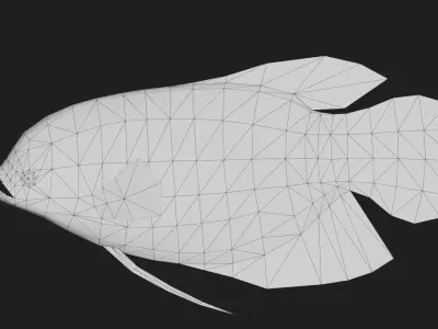 Ashtongourami Low-poly 3D model