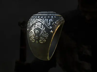Templar Knights Ring 3D print model