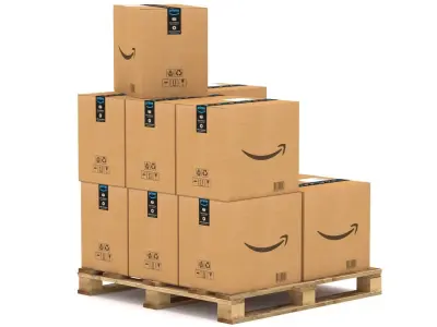 Amazon Cardboard Box with Pallet 3D model