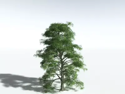 EVERYPlant Idiot Fruit Tree LowPoly Low-poly 3D model