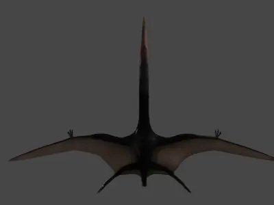 Quetzalcoatlus Low-poly 3D model