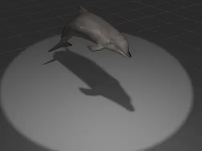 Dolphin with light shining Low-poly 3D model