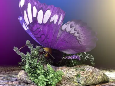 Purple Butterfly 3D model