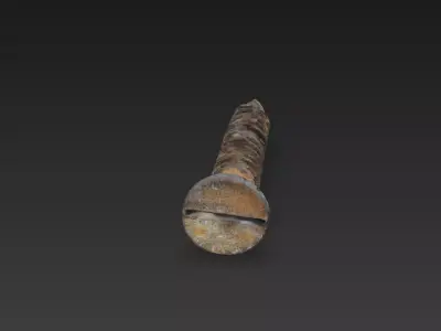 Old Rusty Iron Screw  Photorealistic Game-Ready PBR Fastener 3D model