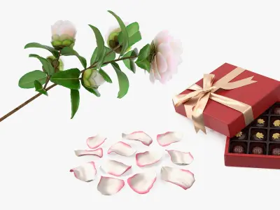 Camellia Flower with Chocolate Box Collection 3D model