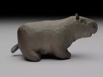 Capybara Free 3D model purchase