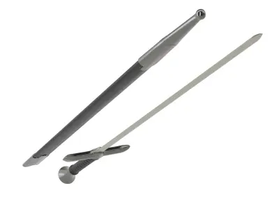 Sword With Sheath 3D model