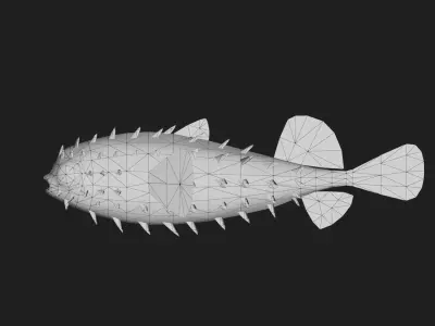 Filefish Low-poly 3D model 4