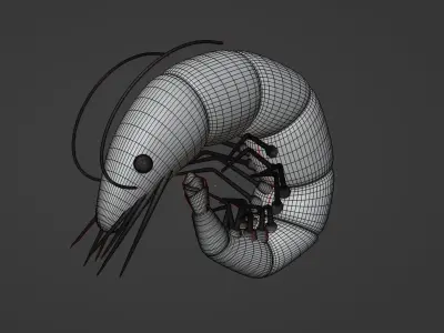 Shrimp  3D model