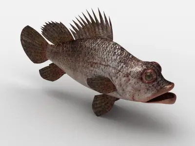Scorpion fish Scorpen-2 Low-poly 3D model