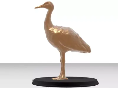 Crane Bird Realistic Free 3D model