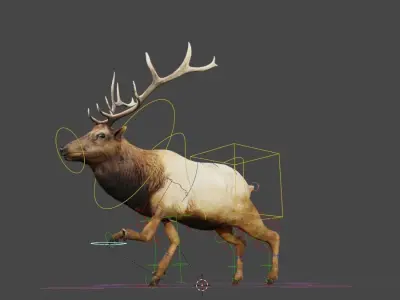 lowpoly rigged reindeer model for blender Low-poly 3D model