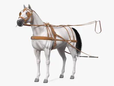 White Horse Single Driving Harness 3D model
