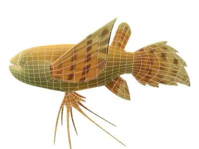 Pantodon Buchholzi fish Animated Low-poly 3D model