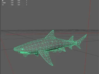 Shark Low-poly 3D model 10
