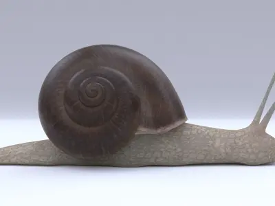 Snail Low-poly 3D model shop