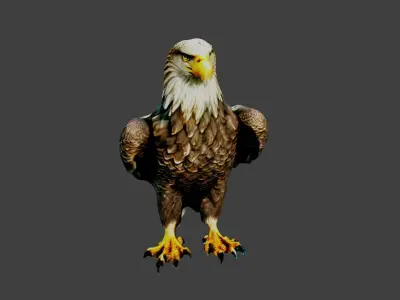 Eagle Low-poly 3D model buy