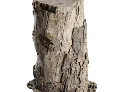  Medium Cut Semi-Bare Stump Model 