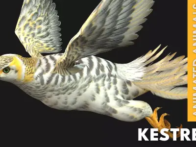 Kestrel B7 Free 3D model