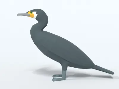 Low Poly Cartoon Great Cormorant Low-poly 3D model