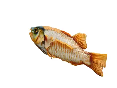 Realistic Dried Fish 3D Model Low-poly 3D model