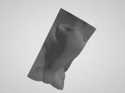 Nose Mesh for Sculpting training Free 3D print model