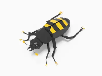 Bug low poly beetle 3D model