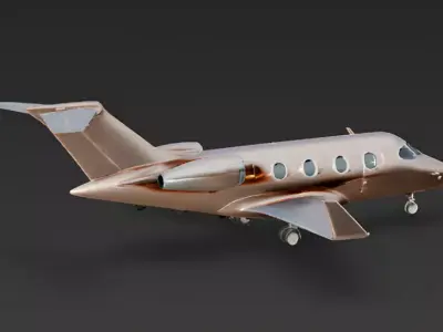 Rose Gold Zenith Luxury Executive Jet Low-poly 3D model