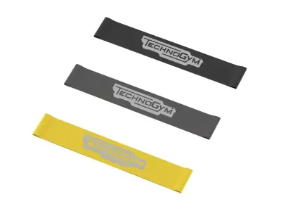 Technogym Band Loop 3D model