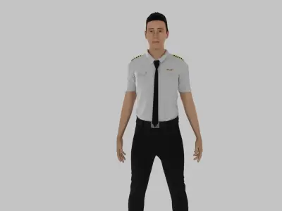 Airplane Pilot Low-poly 3D model